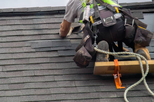 Best Roof Repair Services  in Reidsville, GA