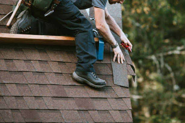 Best Roof Repair Services  in Reidsville, GA