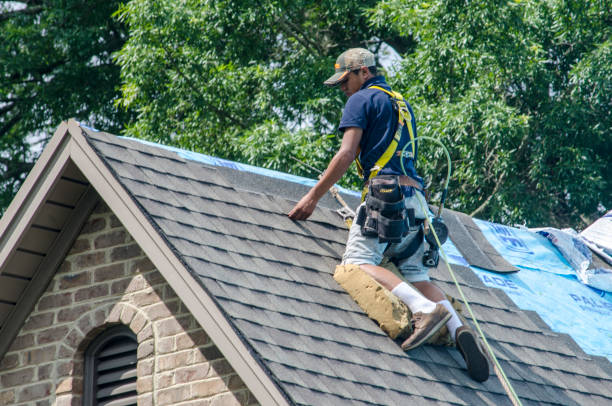 Best Sealant for Roof  in Reidsville, GA